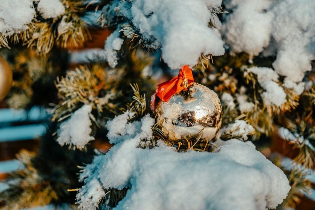 Buy Snow Caps Weed Online: Explore THC, Aroma, and Potency Details