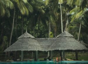 Top Word Trip Cheats and Tips