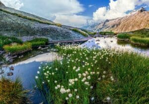 Switzerland – A Peaceful Paradise in the Alps 🇨🇭