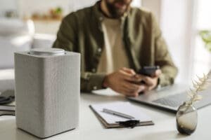 Bluetooth Speakers and Intelligent Capabilities.